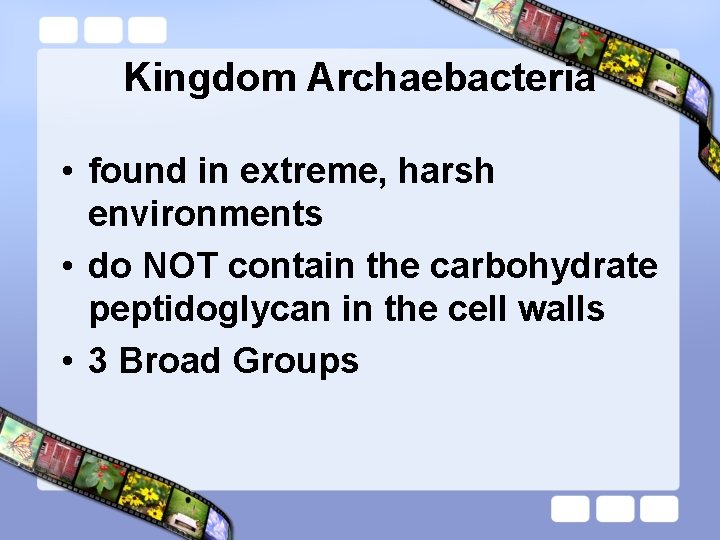 Kingdom Archaebacteria • found in extreme, harsh environments • do NOT contain the carbohydrate