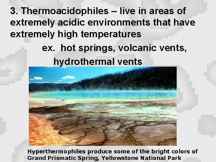  3. Thermoacidophiles – live in areas of extremely acidic environments that have extremely