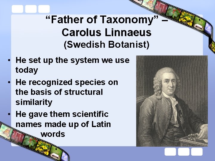 “Father of Taxonomy” – Carolus Linnaeus (Swedish Botanist) • He set up the system