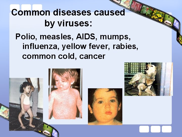 Common diseases caused by viruses: Polio, measles, AIDS, mumps, influenza, yellow fever, rabies, common