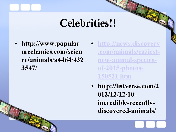 Celebrities!! • http: //www. popular mechanics. com/scien ce/animals/a 4464/432 3547/ • http: //news. discovery.