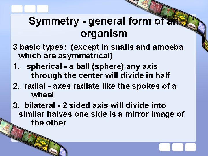 Symmetry - general form of an organism 3 basic types: (except in snails and