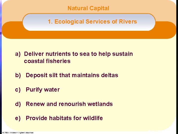 Natural Capital 1. Ecological Services of Rivers a) Deliver nutrients to sea to help