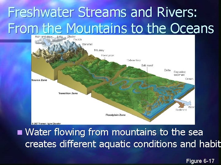 Freshwater Streams and Rivers: From the Mountains to the Oceans n Water flowing from