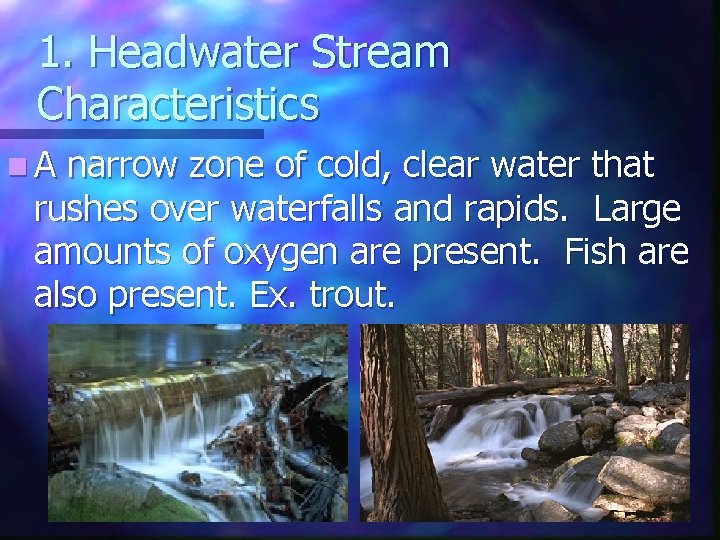 1. Headwater Stream Characteristics n. A narrow zone of cold, clear water that rushes