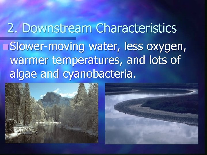 2. Downstream Characteristics n Slower-moving water, less oxygen, warmer temperatures, and lots of algae