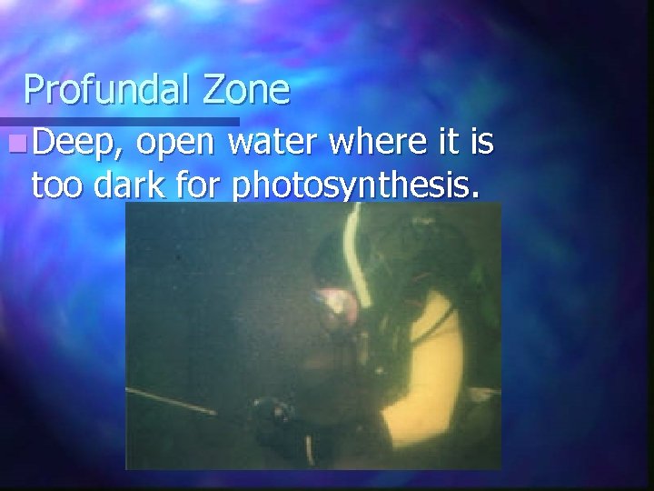 Profundal Zone n Deep, open water where it is too dark for photosynthesis. 