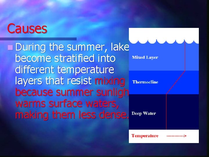 Causes n During the summer, lakes become stratified into different temperature layers that resist