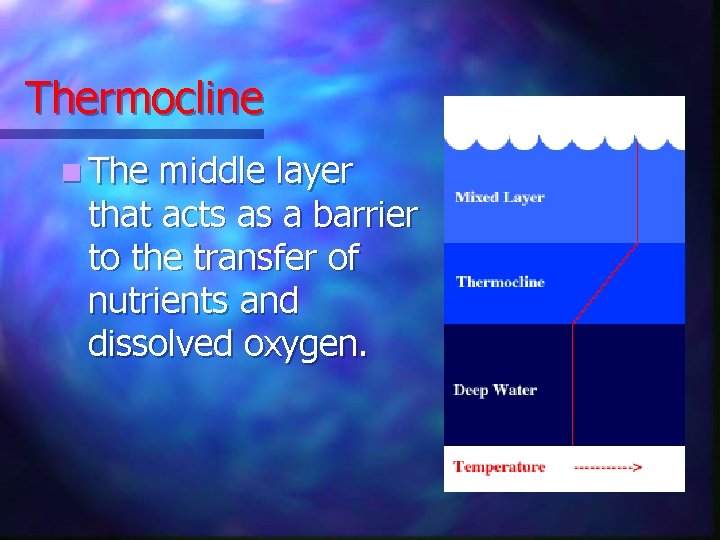 Thermocline n The middle layer that acts as a barrier to the transfer of