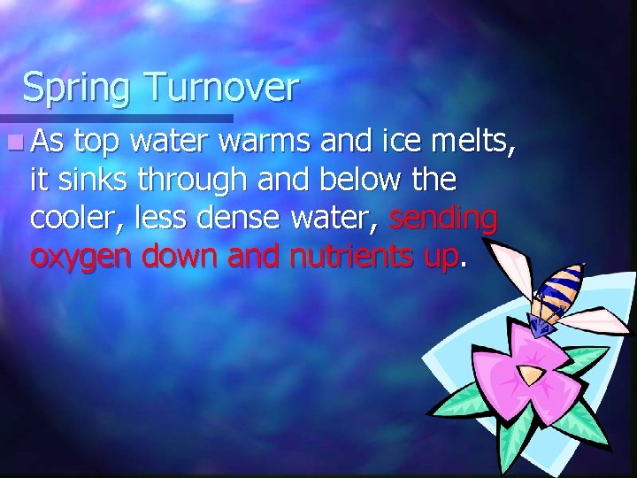 Spring Turnover n As top water warms and ice melts, it sinks through and
