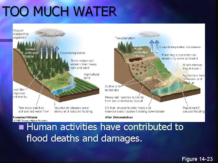 TOO MUCH WATER n Human activities have contributed to flood deaths and damages. Figure