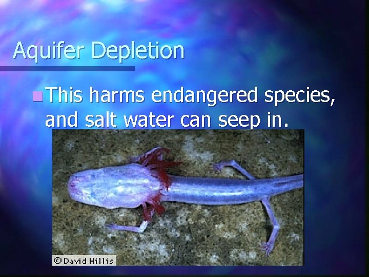 Aquifer Depletion n This harms endangered species, and salt water can seep in. 