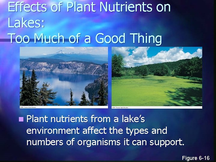Effects of Plant Nutrients on Lakes: Too Much of a Good Thing n Plant
