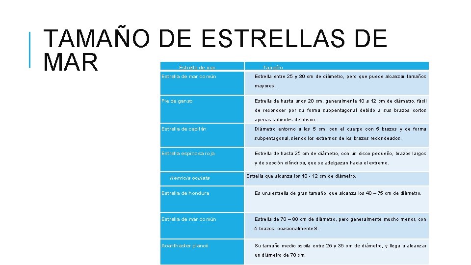 TAMAÑO DE ESTRELLAS DE MAR Estrella de mar común Tamaño Estrella entre 25 y