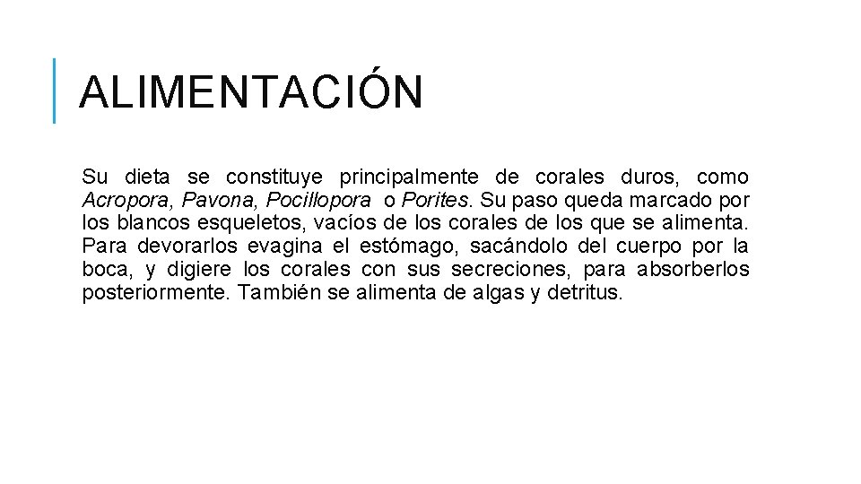 ALIMENTACIÓN Su dieta se constituye principalmente de corales duros, como Acropora, Pavona, Pocillopora o