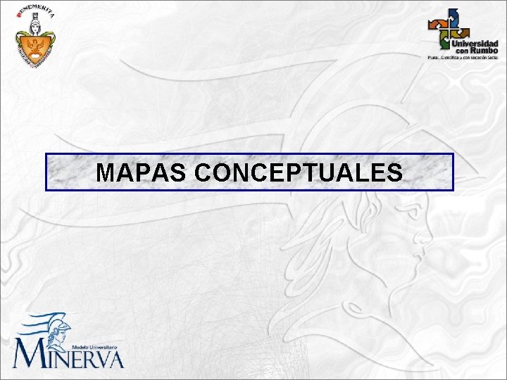 MAPAS CONCEPTUALES 