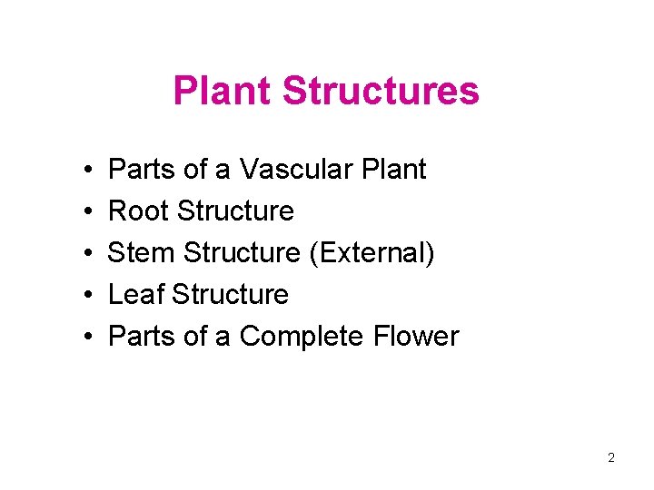 Plant Structures • • • Parts of a Vascular Plant Root Structure Stem Structure