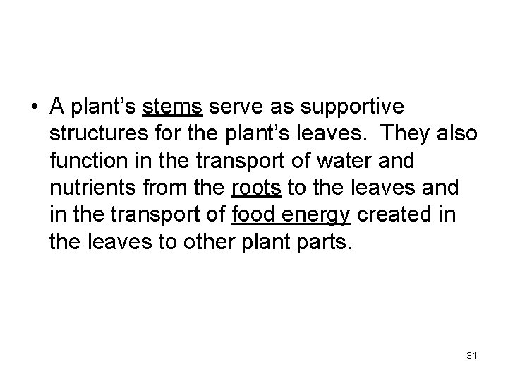  • A plant’s stems serve as supportive structures for the plant’s leaves. They