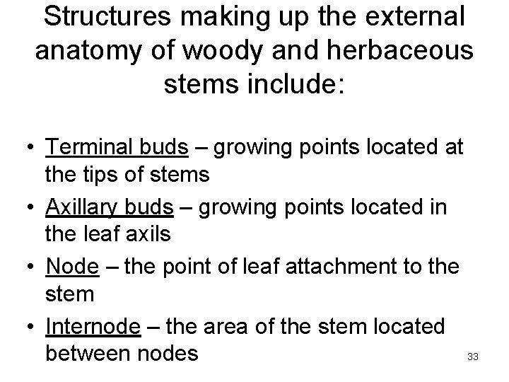 Structures making up the external anatomy of woody and herbaceous stems include: • Terminal