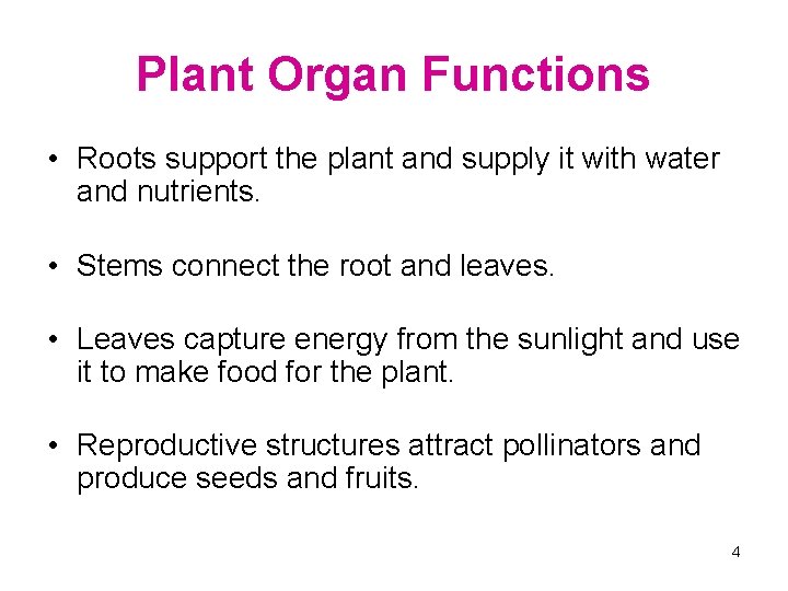 Plant Organ Functions • Roots support the plant and supply it with water and