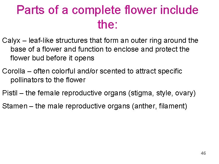 Parts of a complete flower include the: Calyx – leaf-like structures that form an