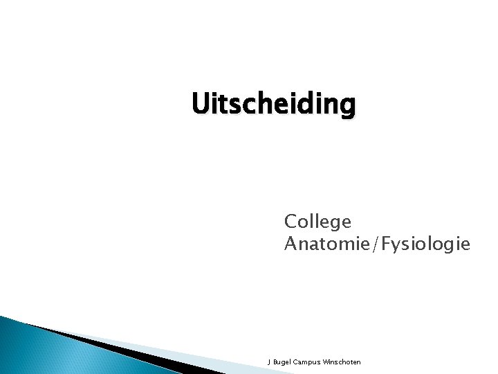 Uitscheiding College Anatomie/Fysiologie J Bugel Campus Winschoten 