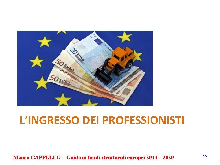 L’INGRESSO DEI PROFESSIONISTI Mauro CAPPELLO – Guida ai fondi strutturali europei 2014 – 2020