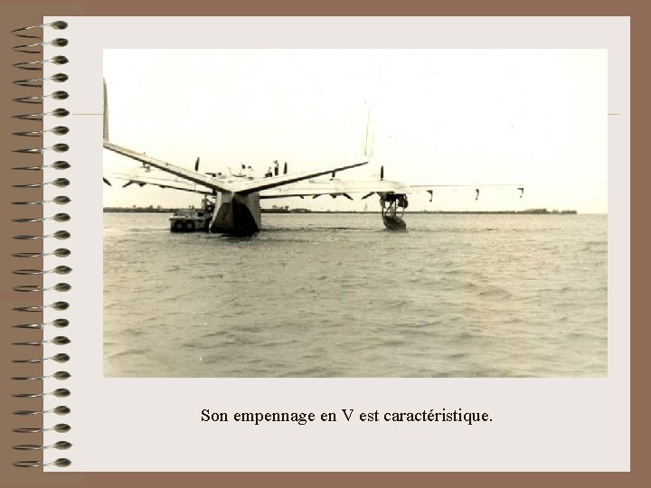 Son empennage en V est caractéristique. 