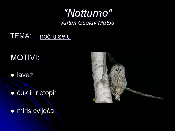 "Notturno" Antun Gustav Matoš TEMA: noć u selu MOTIVI: l lavež l ćuk il'