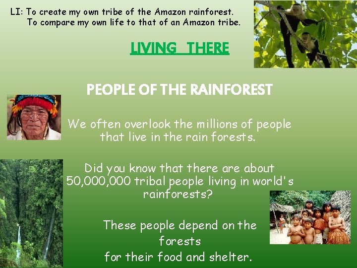 LI: To create my own tribe of the Amazon rainforest. To compare my own