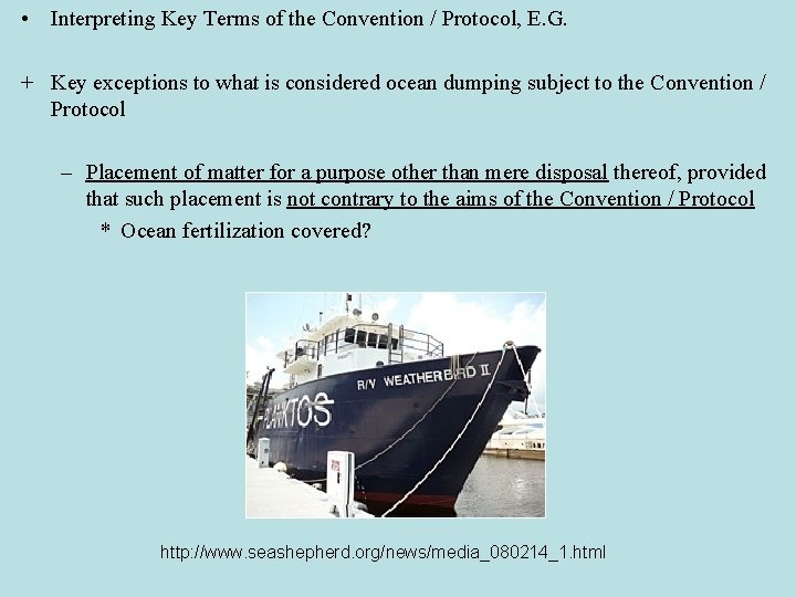  • Interpreting Key Terms of the Convention / Protocol, E. G. + Key