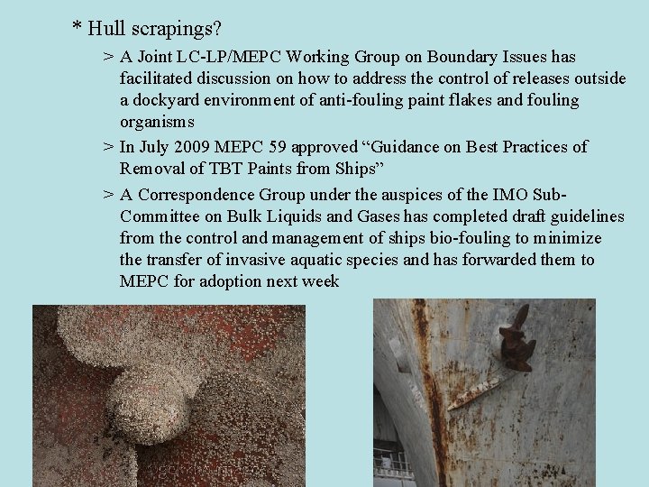 * Hull scrapings? > A Joint LC-LP/MEPC Working Group on Boundary Issues has facilitated