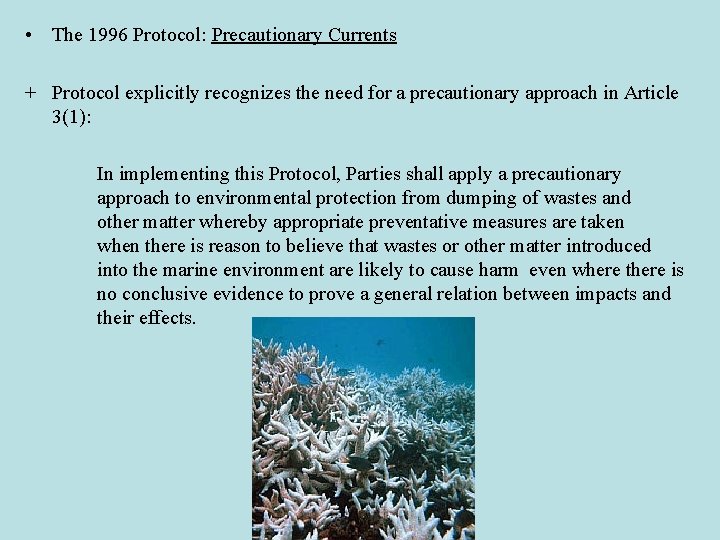  • The 1996 Protocol: Precautionary Currents + Protocol explicitly recognizes the need for