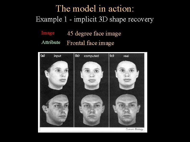 The model in action: Example 1 - implicit 3 D shape recovery Image 45