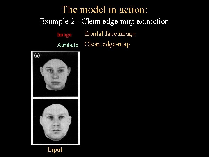 The model in action: Example 2 - Clean edge-map extraction Image frontal face image