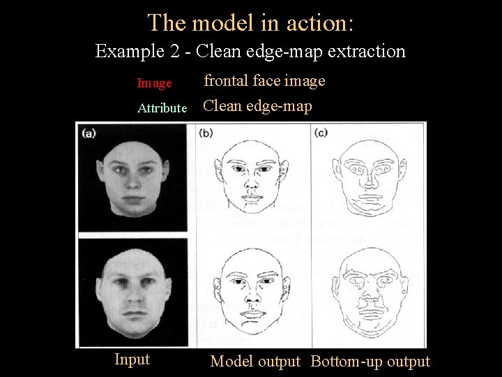 The model in action: Example 2 - Clean edge-map extraction Image frontal face image