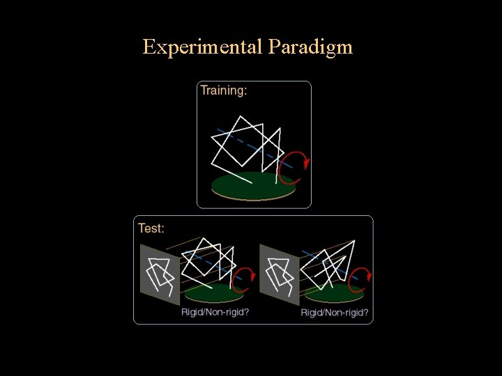 Experimental Paradigm 