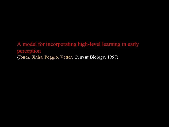 A model for incorporating high-level learning in early perception (Jones, Sinha, Poggio, Vetter, Current