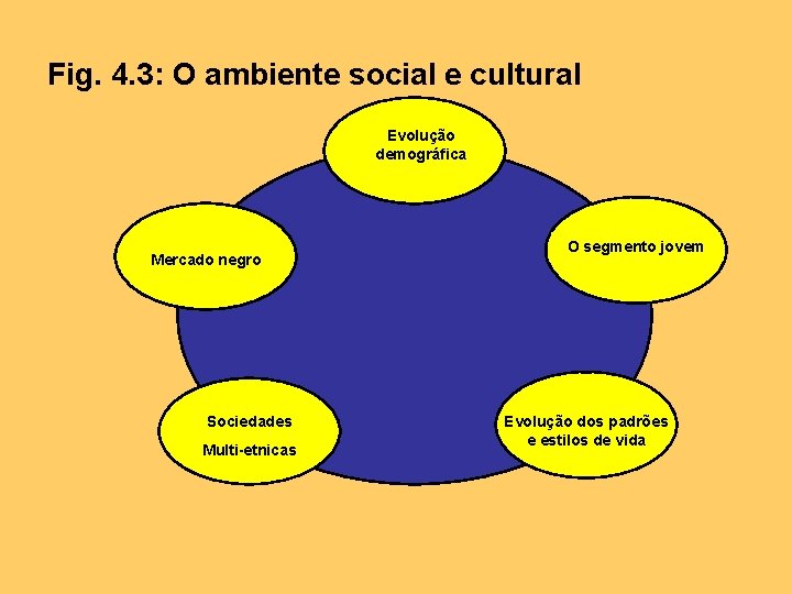 Fig. 4. 3: O ambiente social e cultural Evolução demográfica Mercado negro Sociedades Multi-etnicas