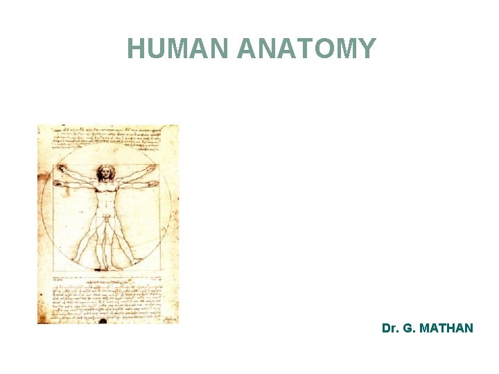 HUMAN ANATOMY Dr. G. MATHAN 