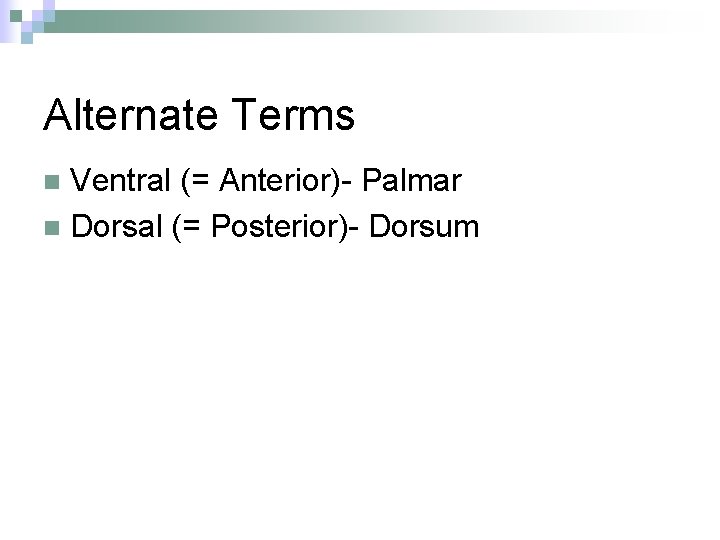 Alternate Terms Ventral (= Anterior)- Palmar n Dorsal (= Posterior)- Dorsum n 