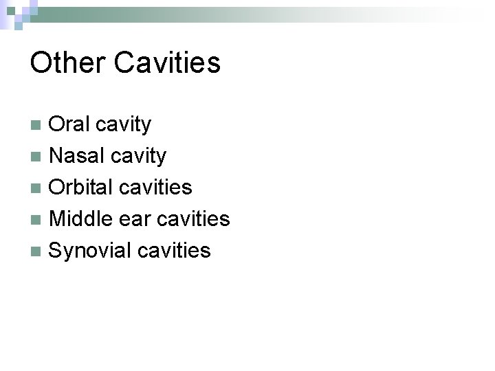 Other Cavities Oral cavity n Nasal cavity n Orbital cavities n Middle ear cavities