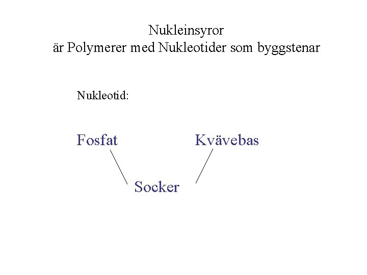 Nukleinsyror är Polymerer med Nukleotider som byggstenar Nukleotid: Fosfat Kvävebas Socker 