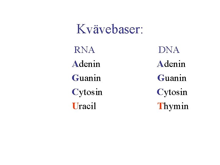 Kvävebaser: RNA Adenin Guanin Cytosin Uracil DNA Adenin Guanin Cytosin Thymin 