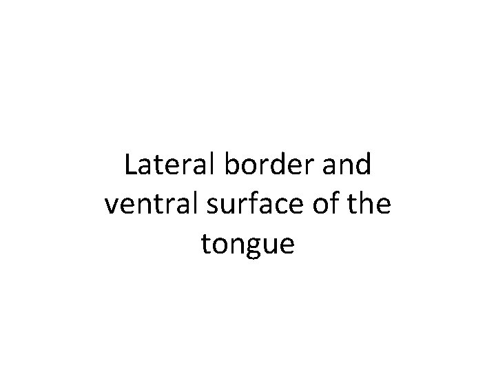 Lateral border and ventral surface of the tongue 