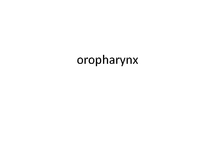 oropharynx 