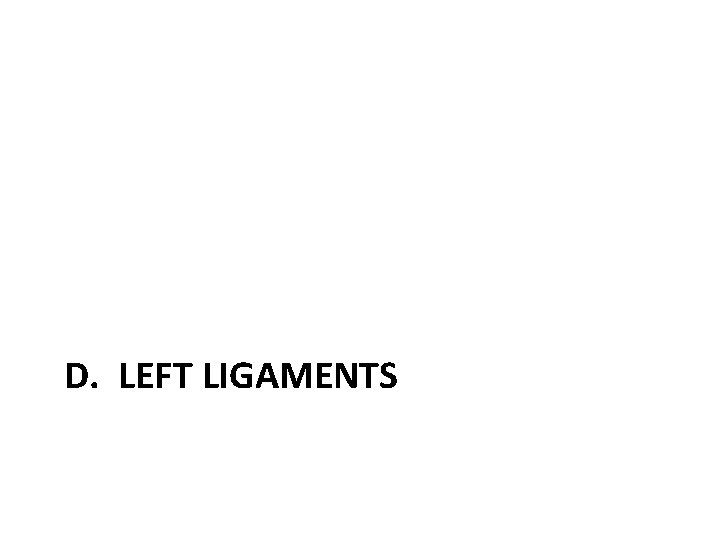 D. LEFT LIGAMENTS 