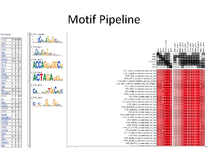 Motif Pipeline • http: //www. broadinstitute. org/~pouyak/encode-motif-disc/ Motif Pipeline • http: //www. broadinstitute. org/~pouyak/encode-motif-disc/