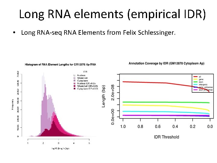 Long RNA elements (empirical IDR) • Long RNA-seq RNA Elements from Felix Schlessinger. Long RNA elements (empirical IDR) • Long RNA-seq RNA Elements from Felix Schlessinger.