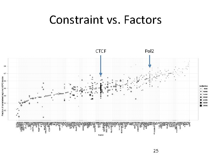 Constraint vs. Factors CTCF Pol 2 25 Constraint vs. Factors CTCF Pol 2 25